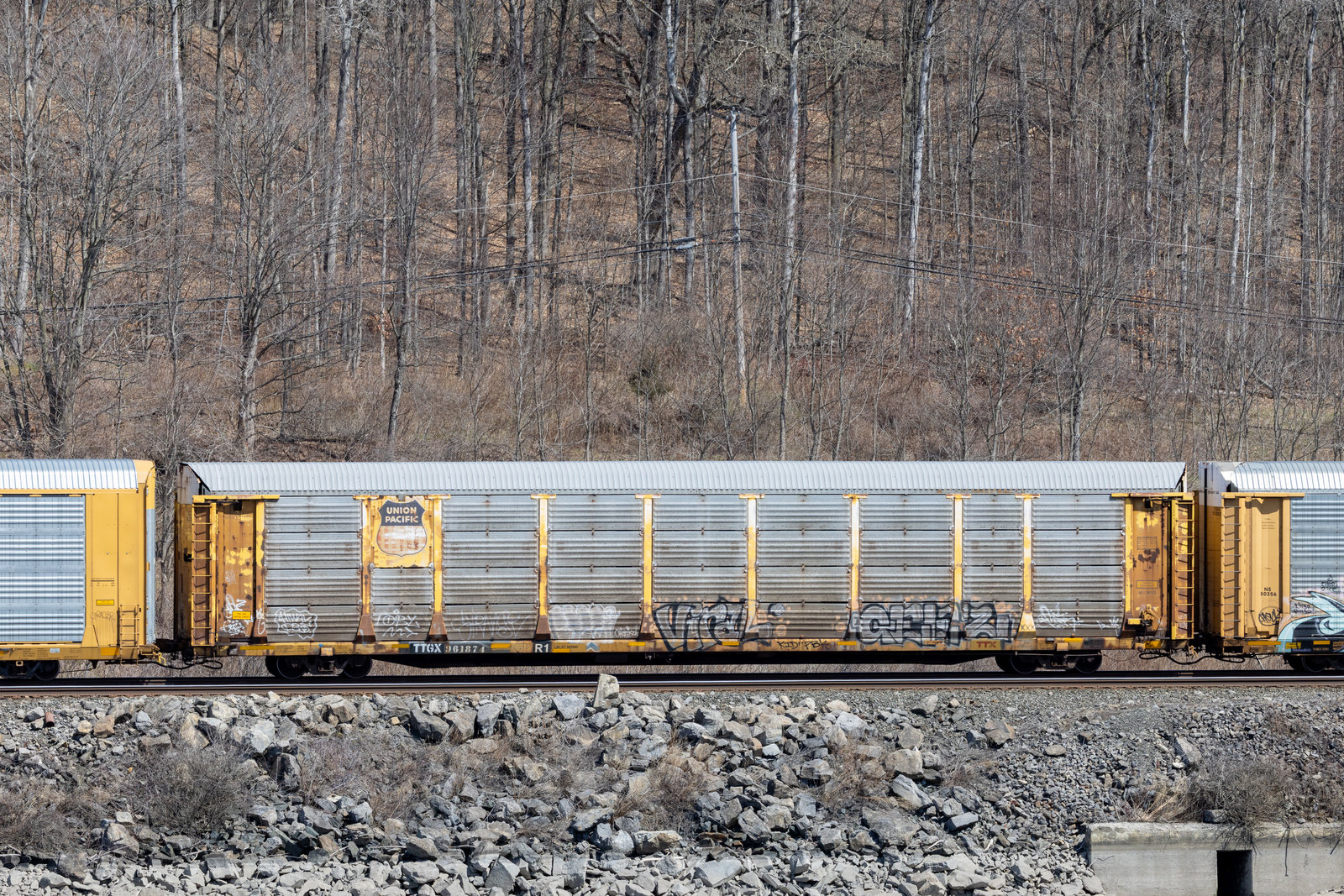 TTGX 961874