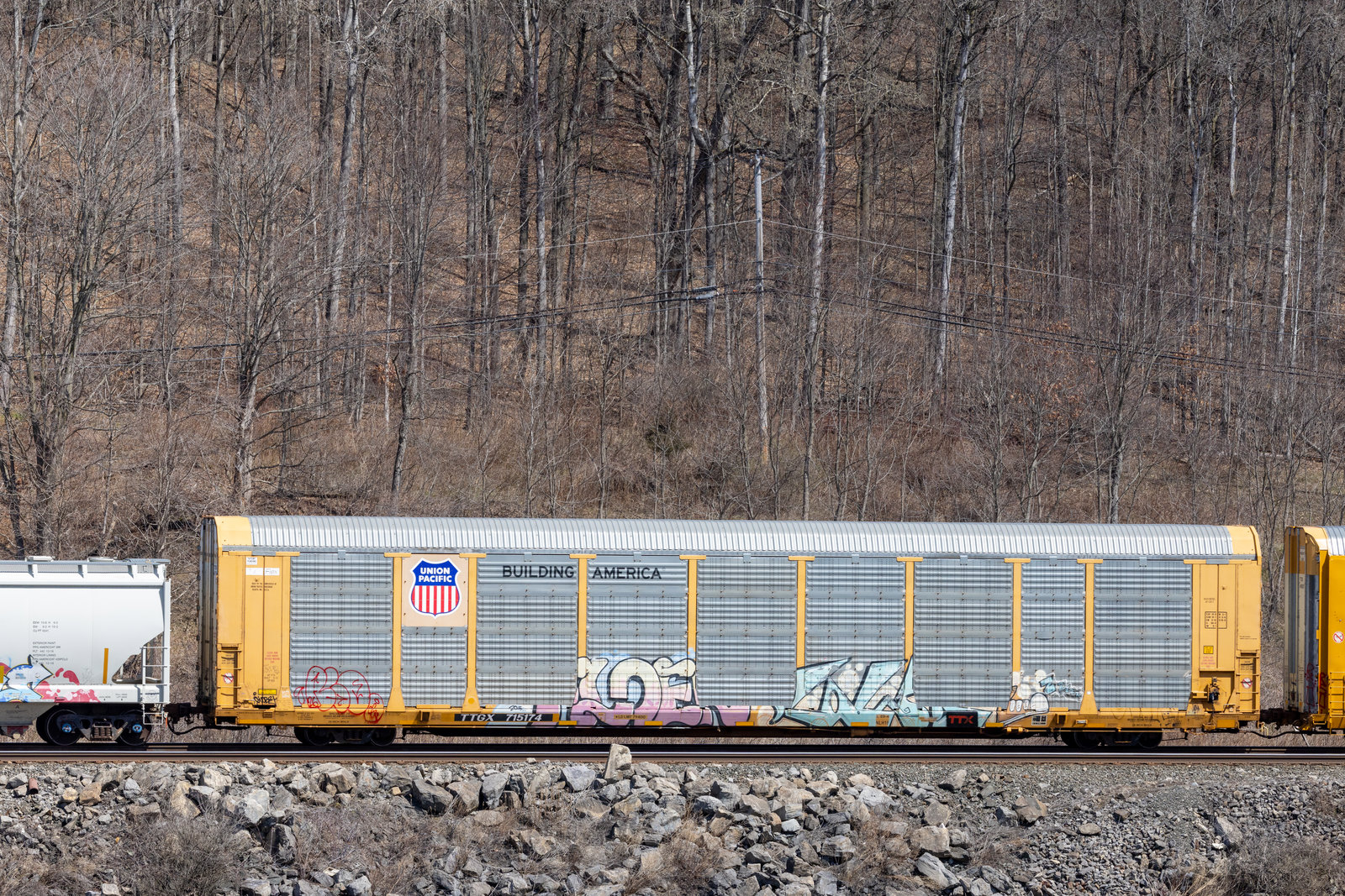 TTGX 715174