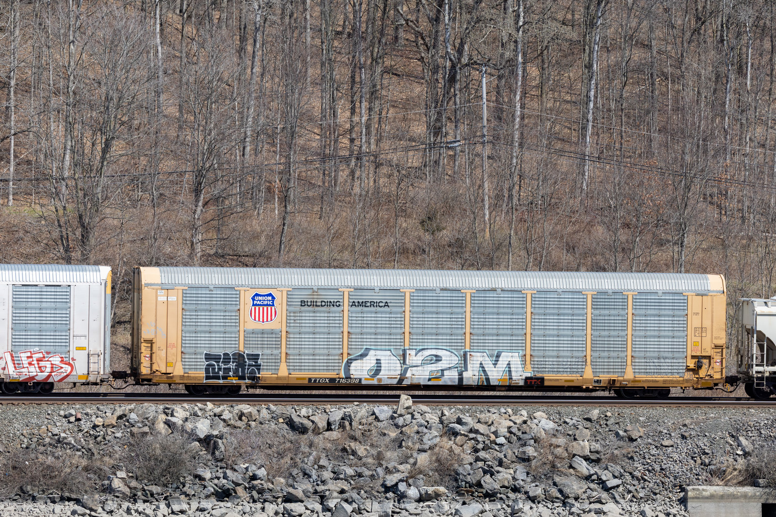 TTGX 716398