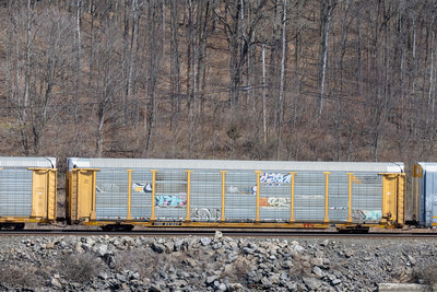 TTGX 851809
