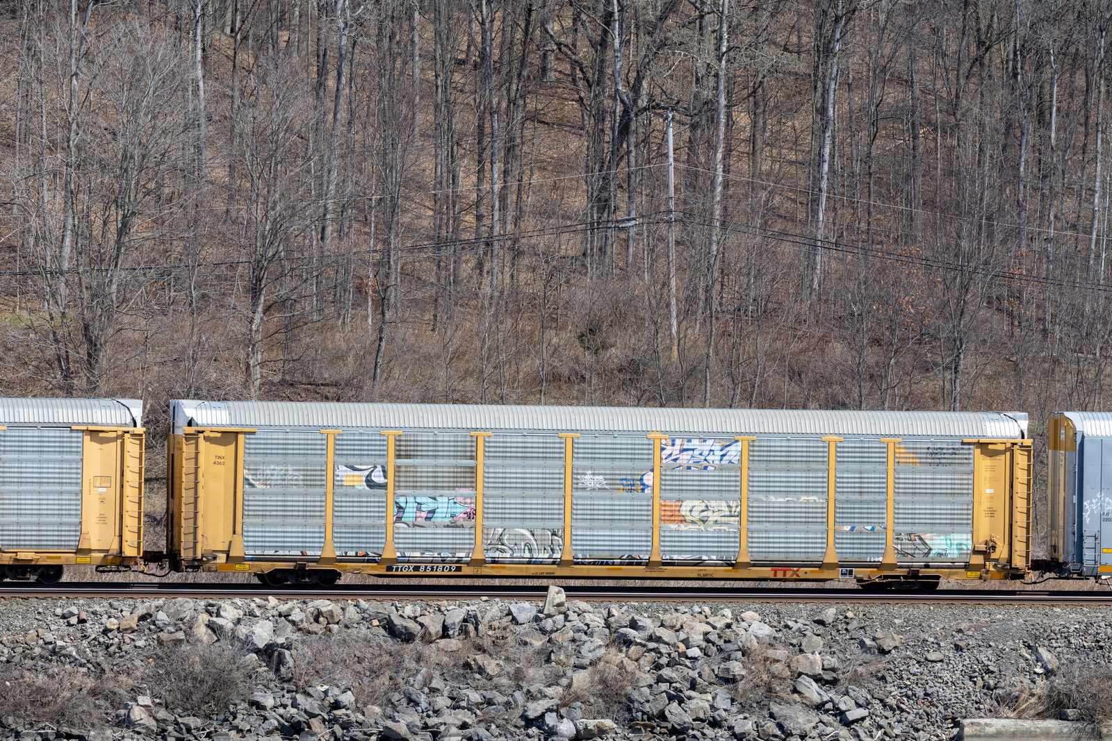 TTGX 851809