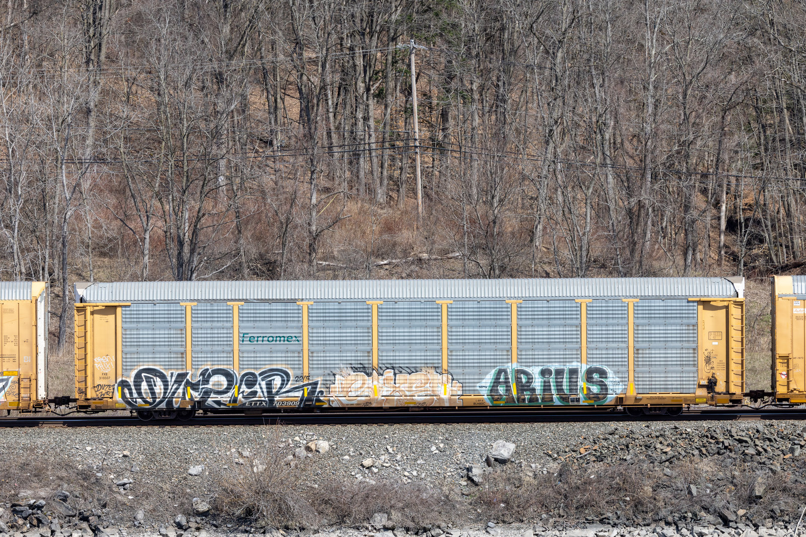 ETTX 703909