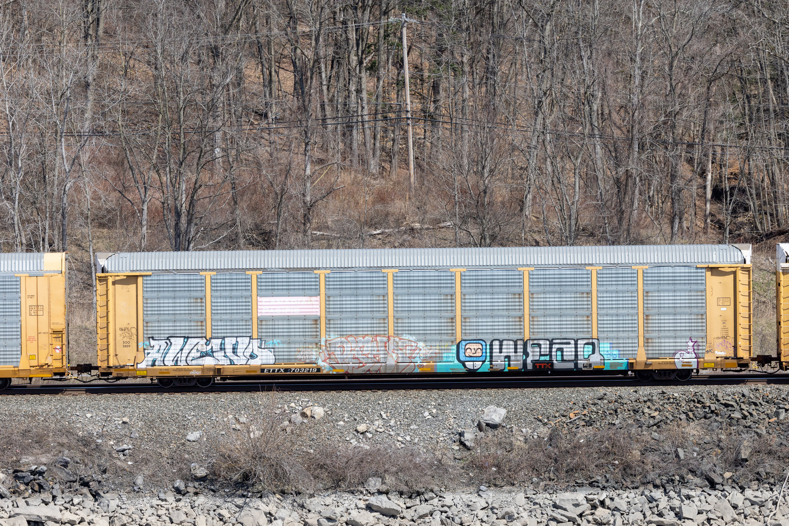 ETTX 703219