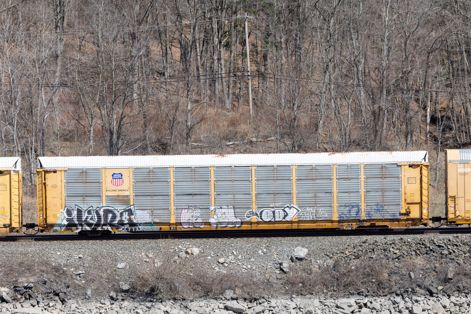 ETTX 820285