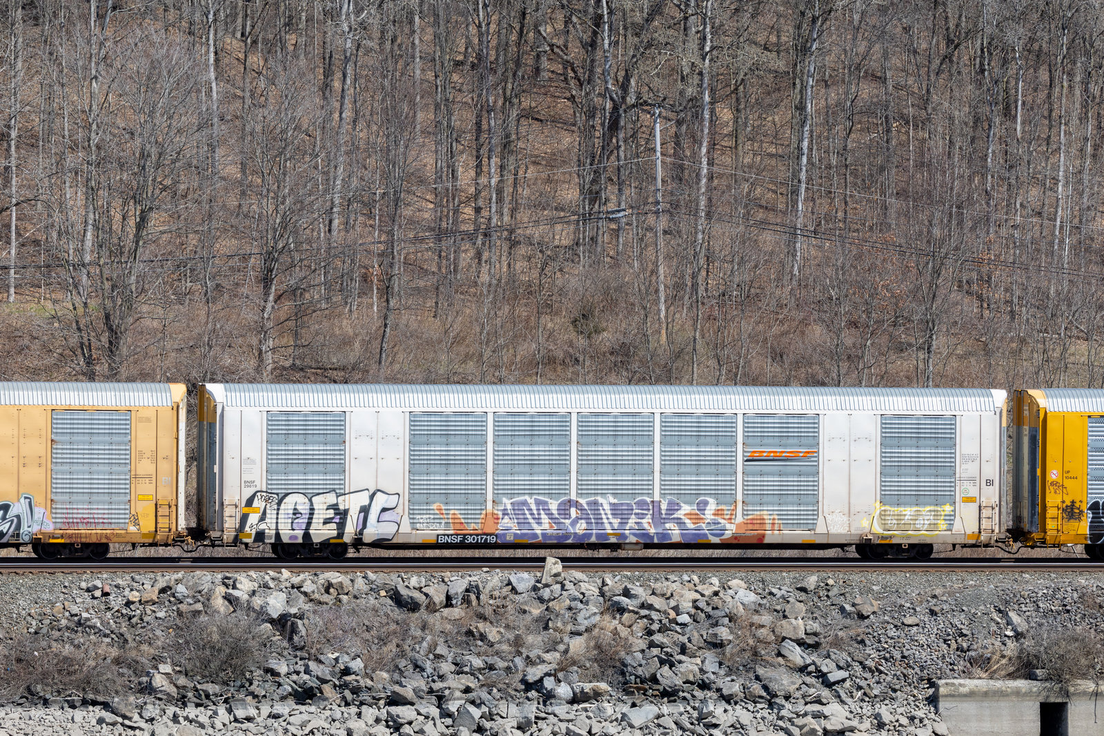BNSF 301719