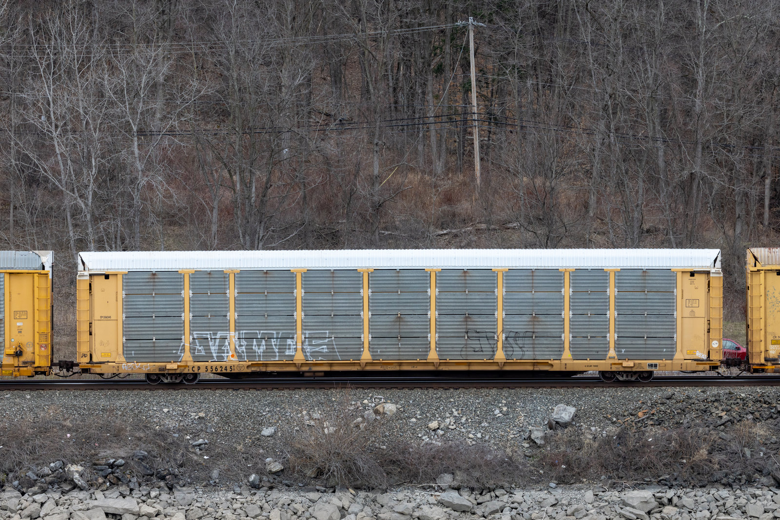 CP 556245