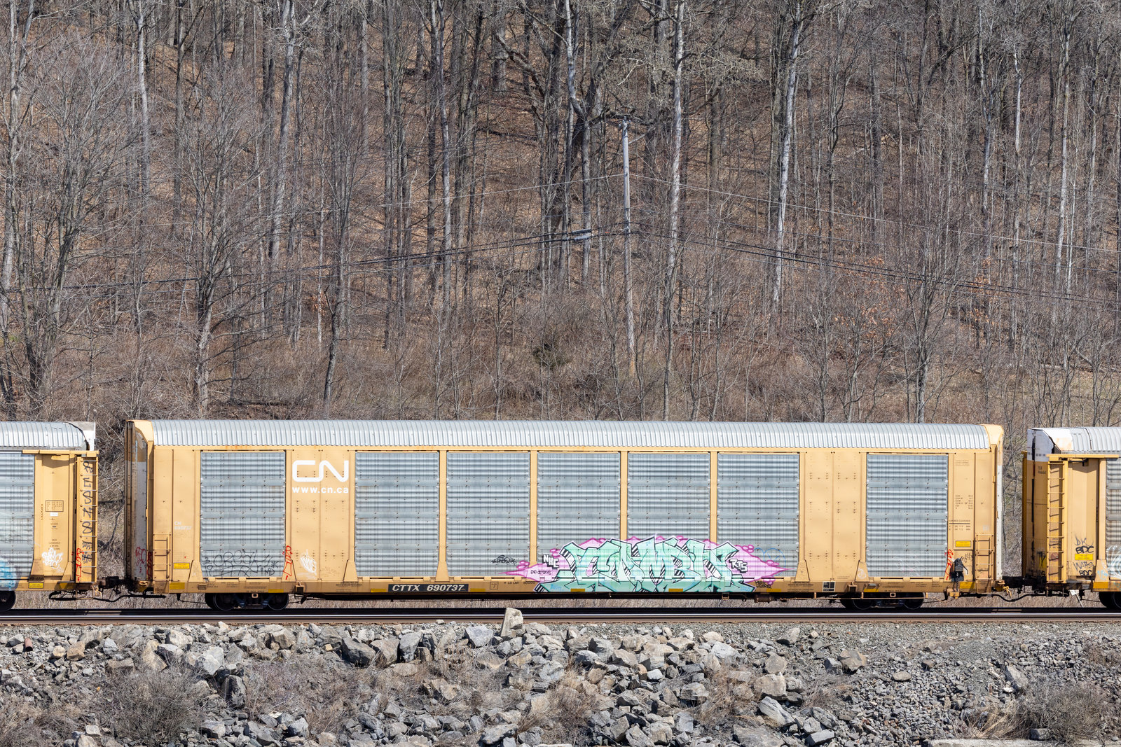 CTTX 690737