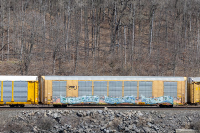 CTTX 692312