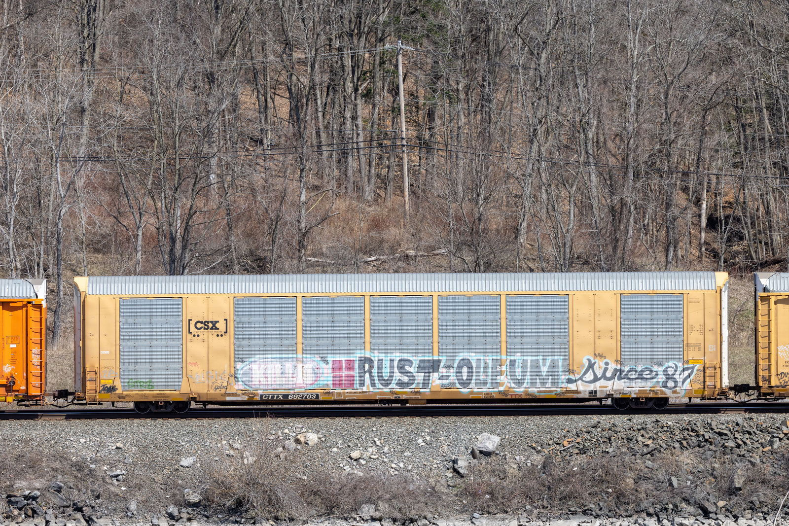 CTTX 692703