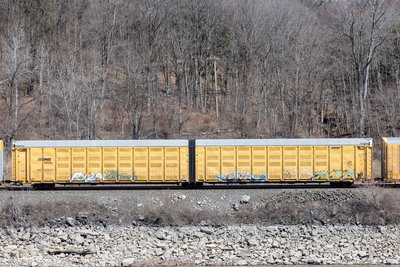 NS