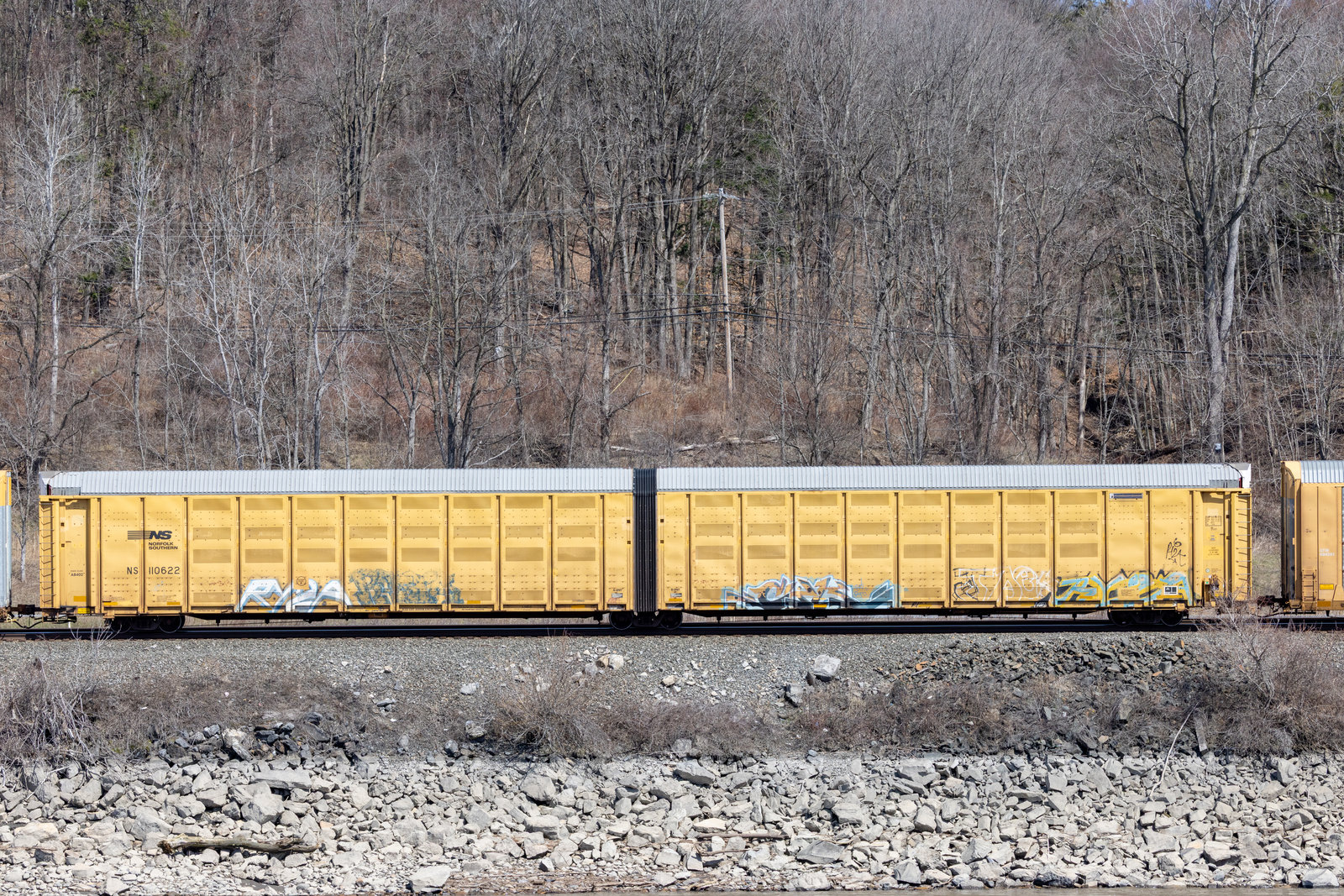 NS