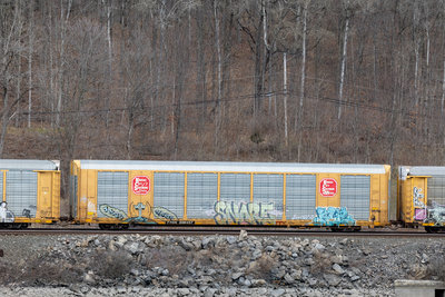 TTGX 696457