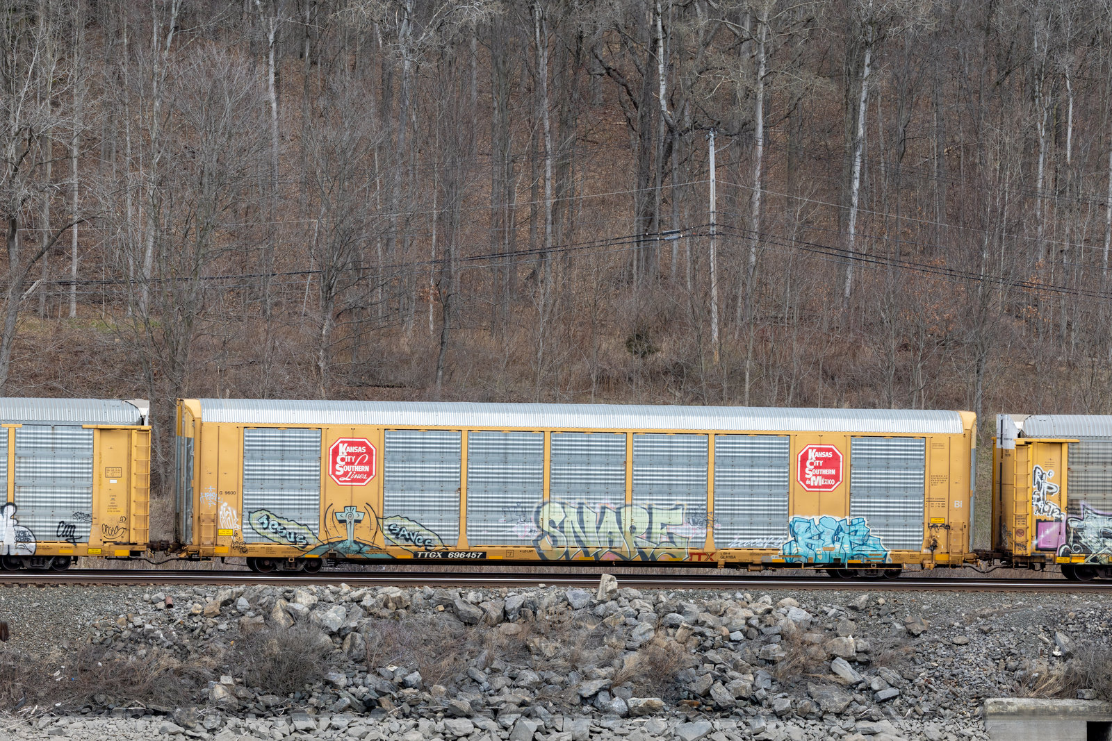 TTGX 696457