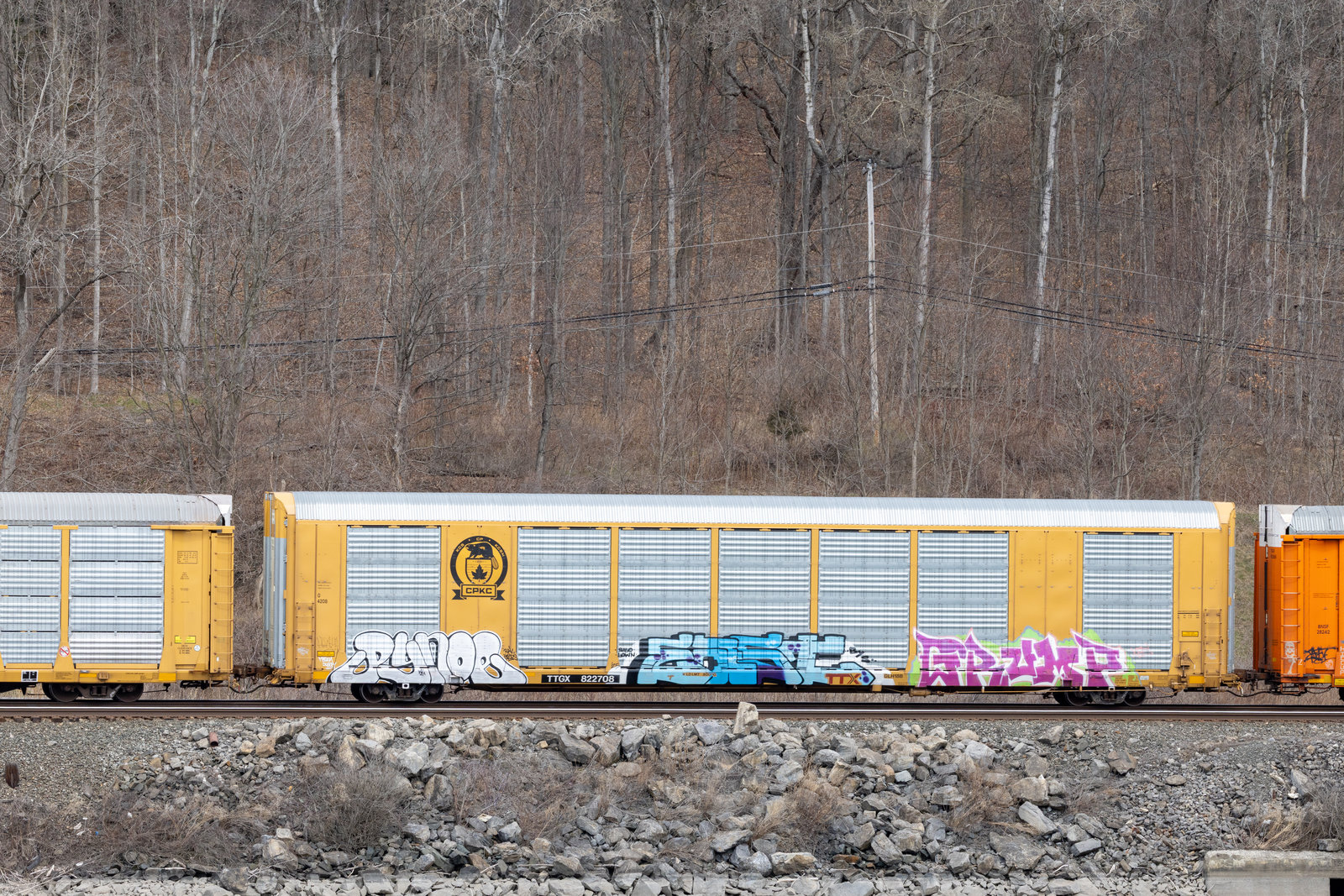 TTGX 822708