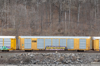 TTGX 699853