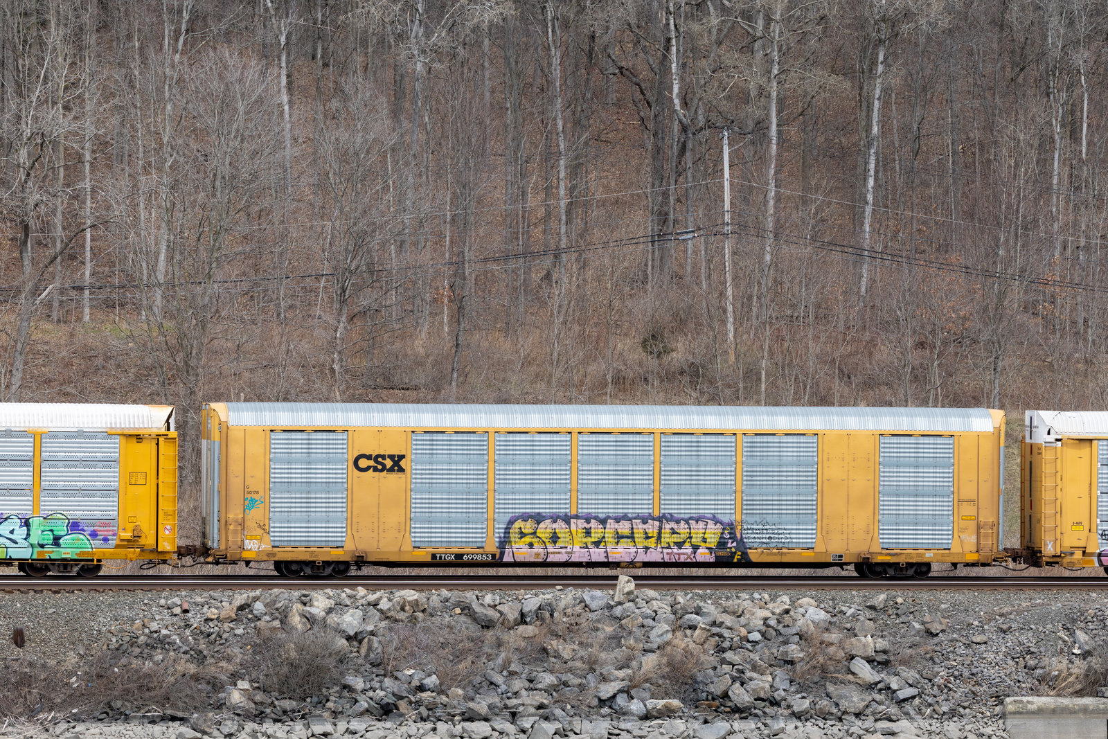 TTGX 699853