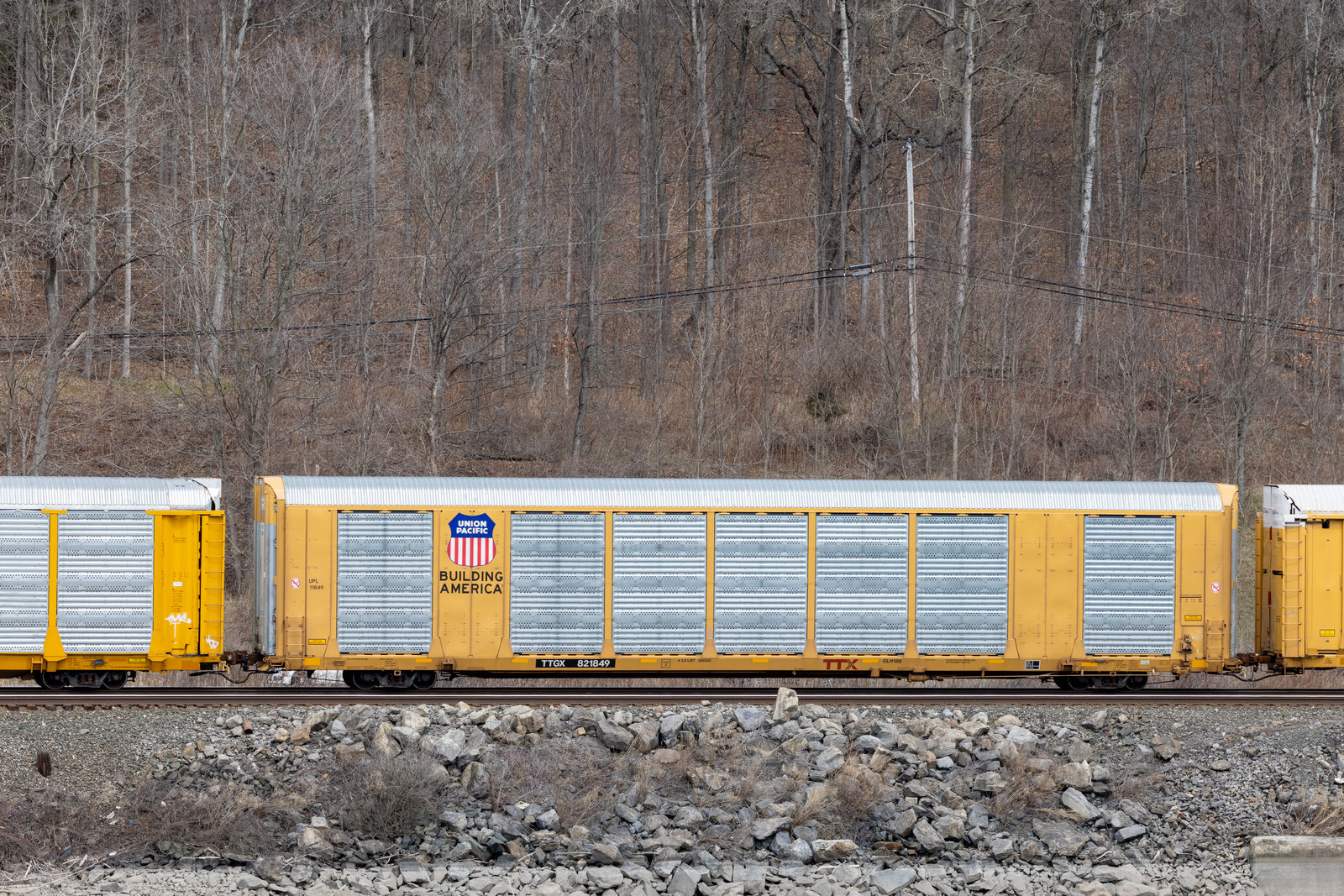 TTGX 821849