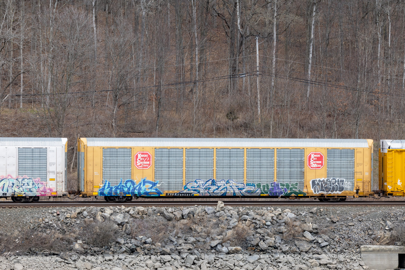 TTGX 695317