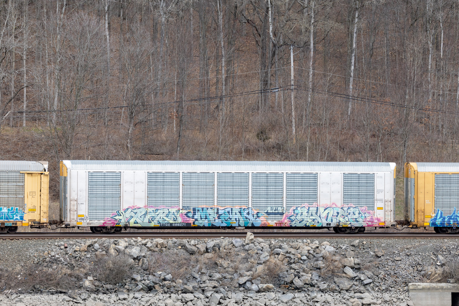 TTGX 698271