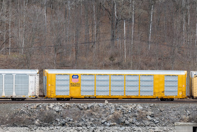 TTGX 698739