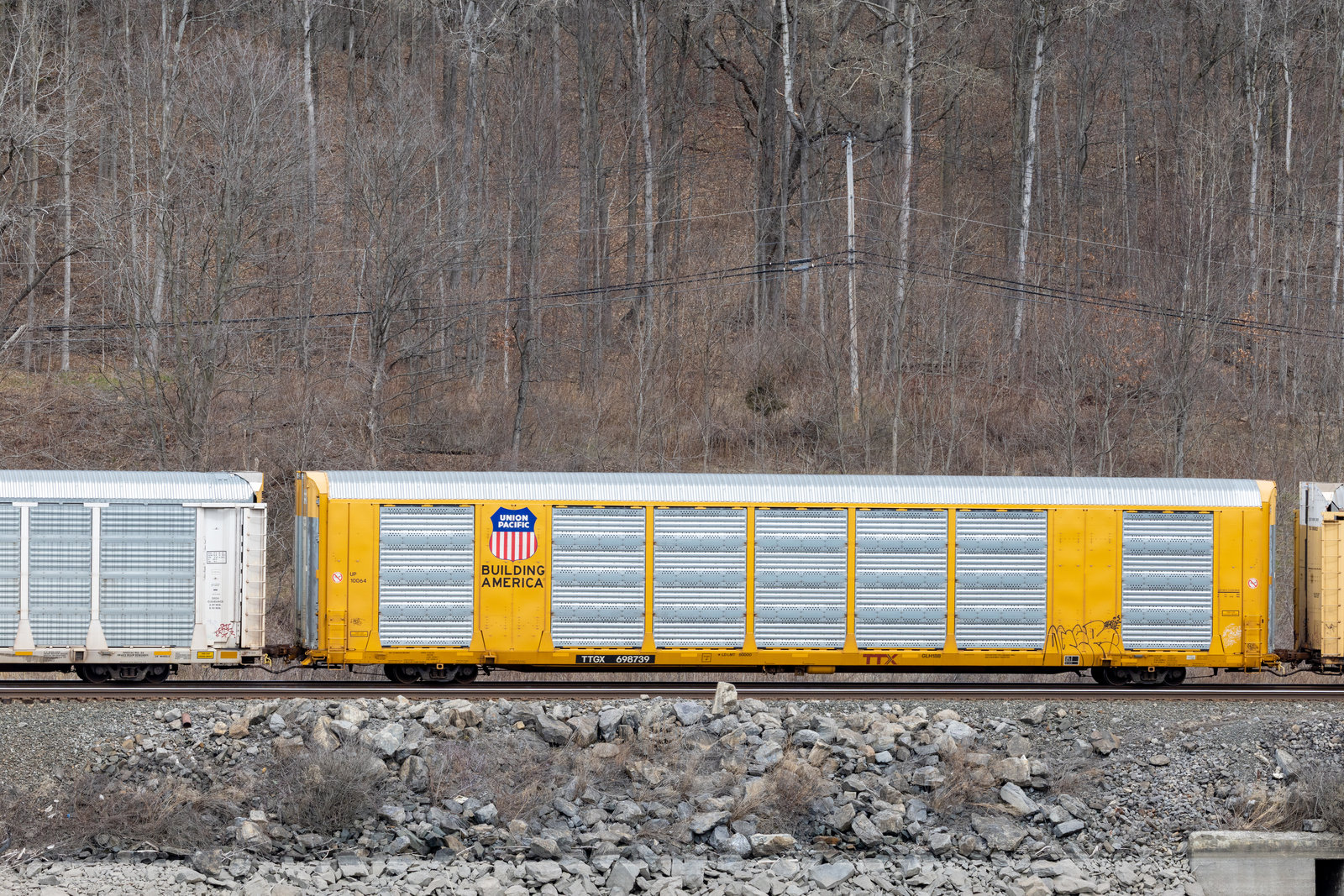 TTGX 698739