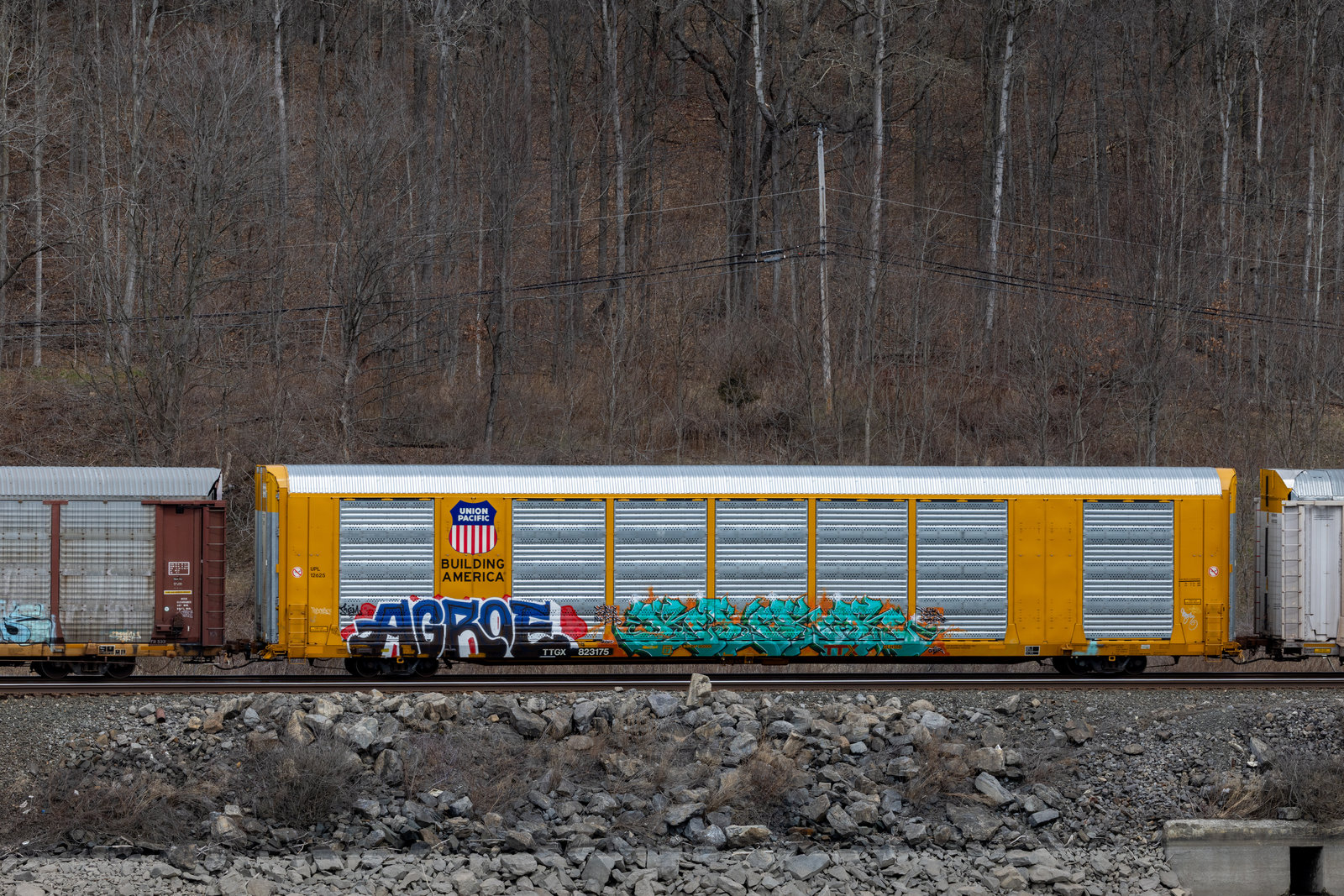 TTGX 823175