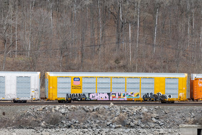 TTGX 699209