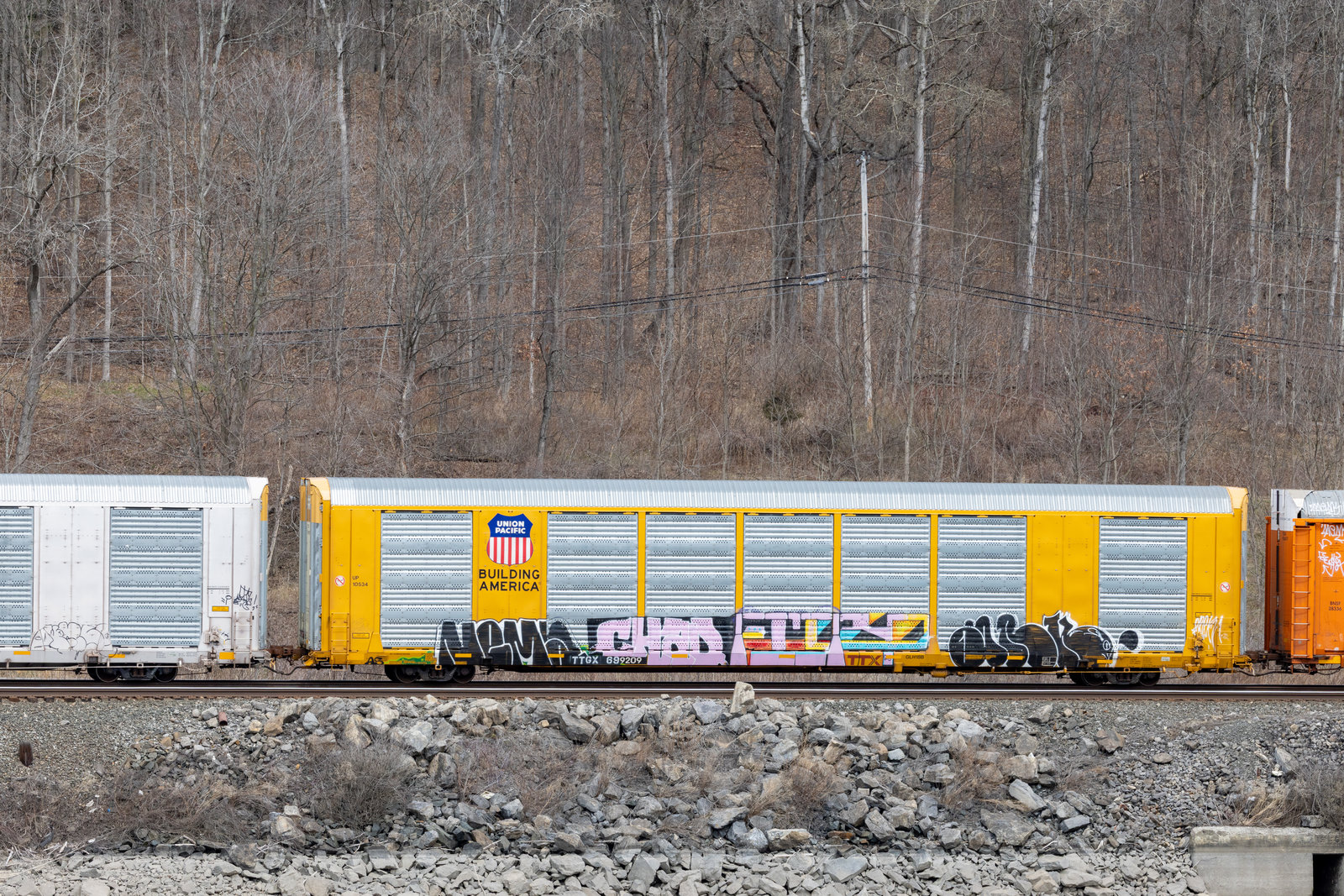 TTGX 699209