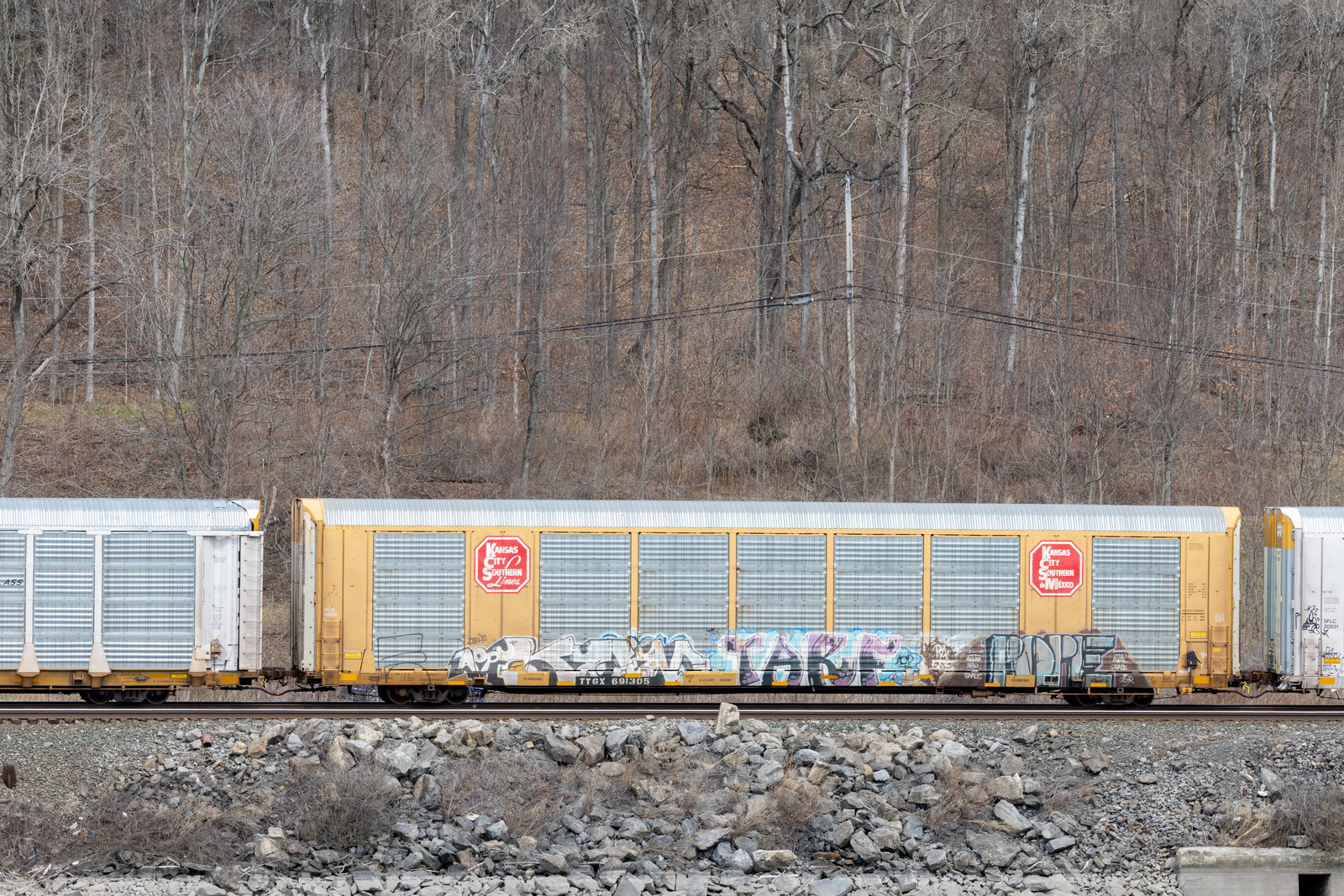 TTGX 691305