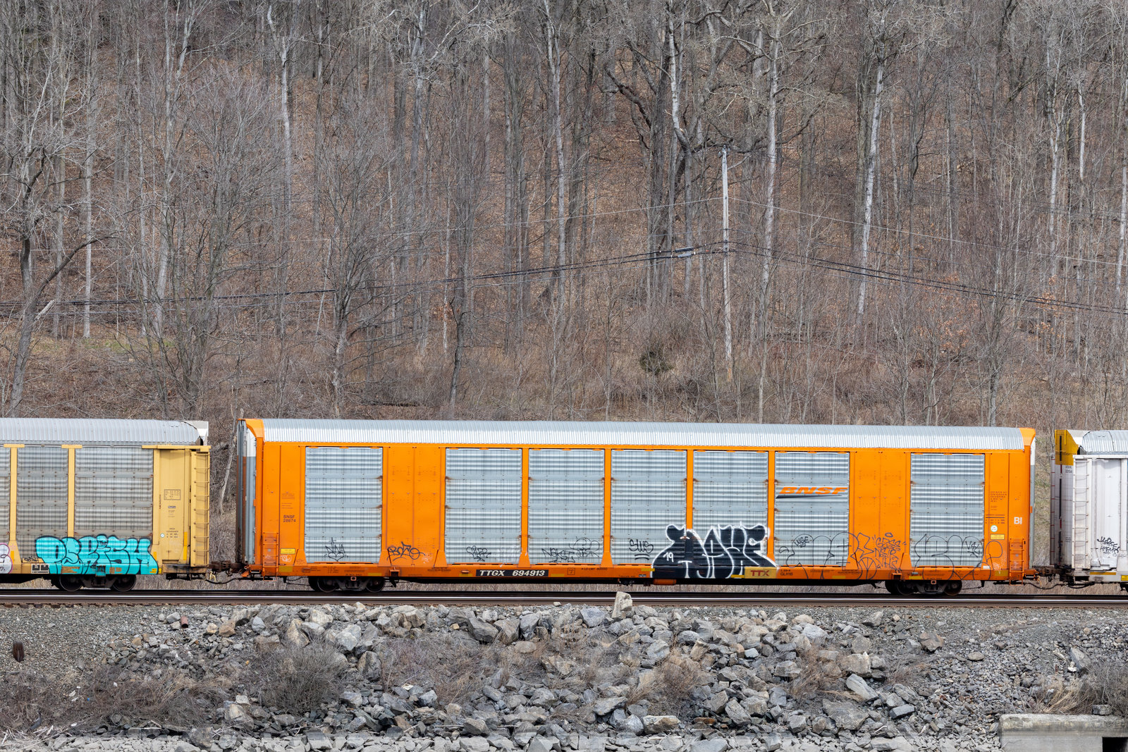 TTGX 694913