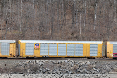 TTGX 822243