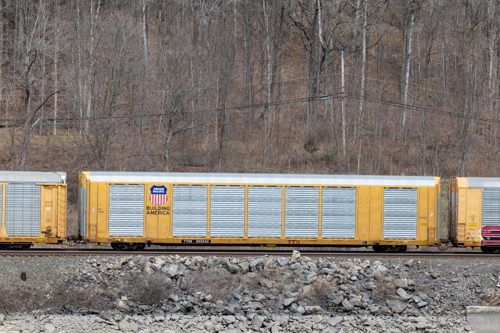 TTGX 822243