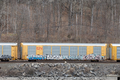 TTGX 695884