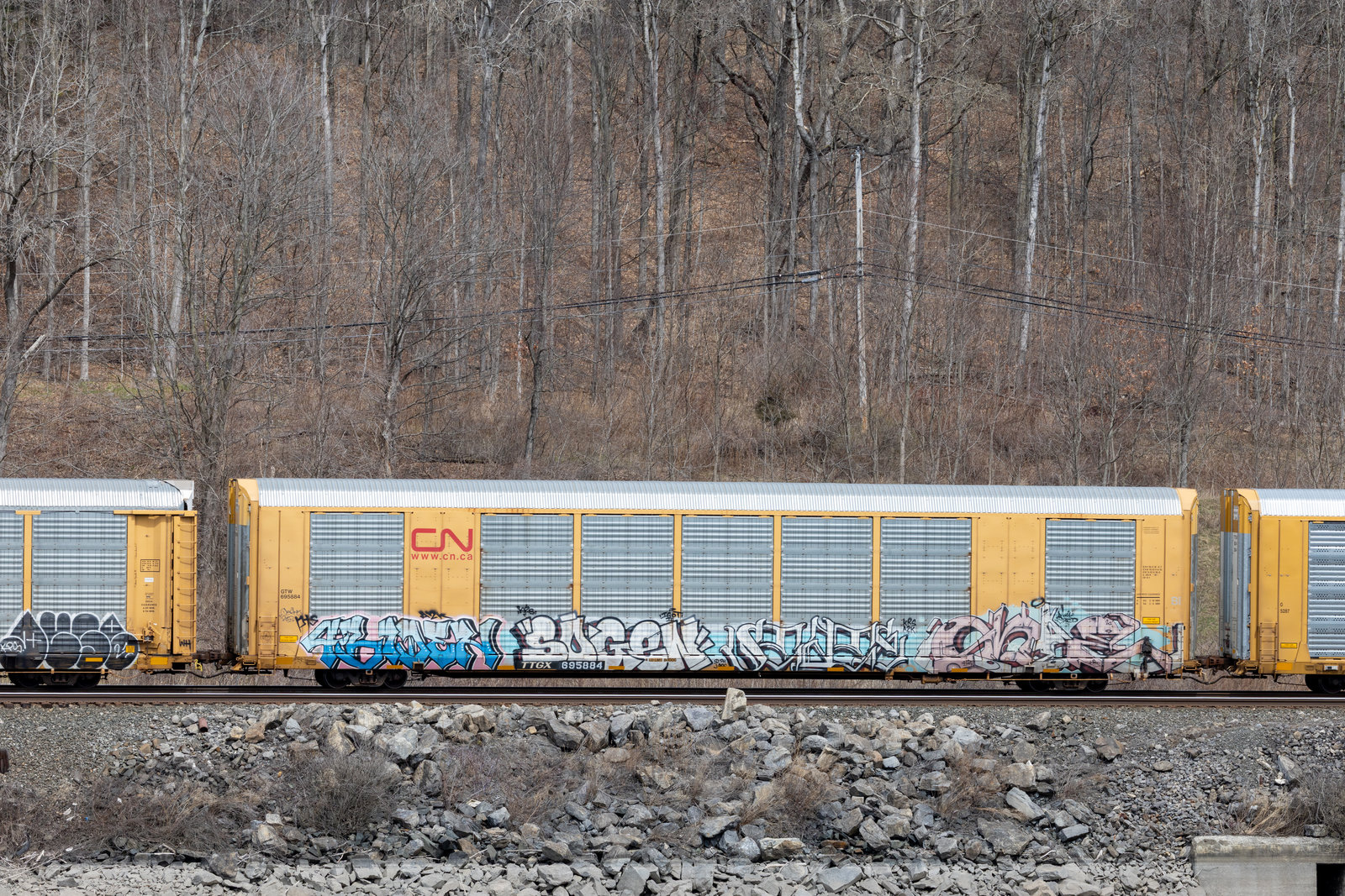 TTGX 695884