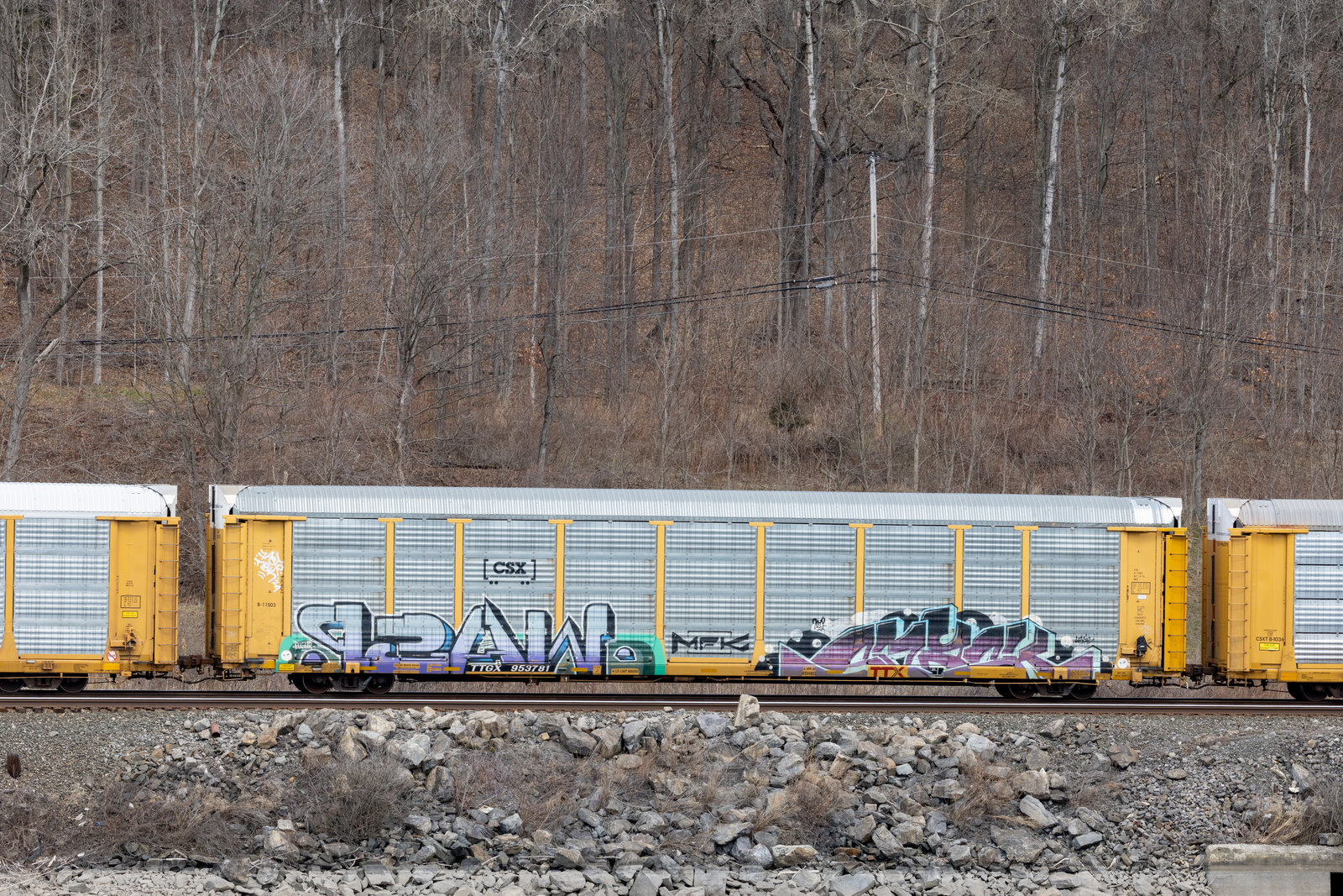 TTGX 953781