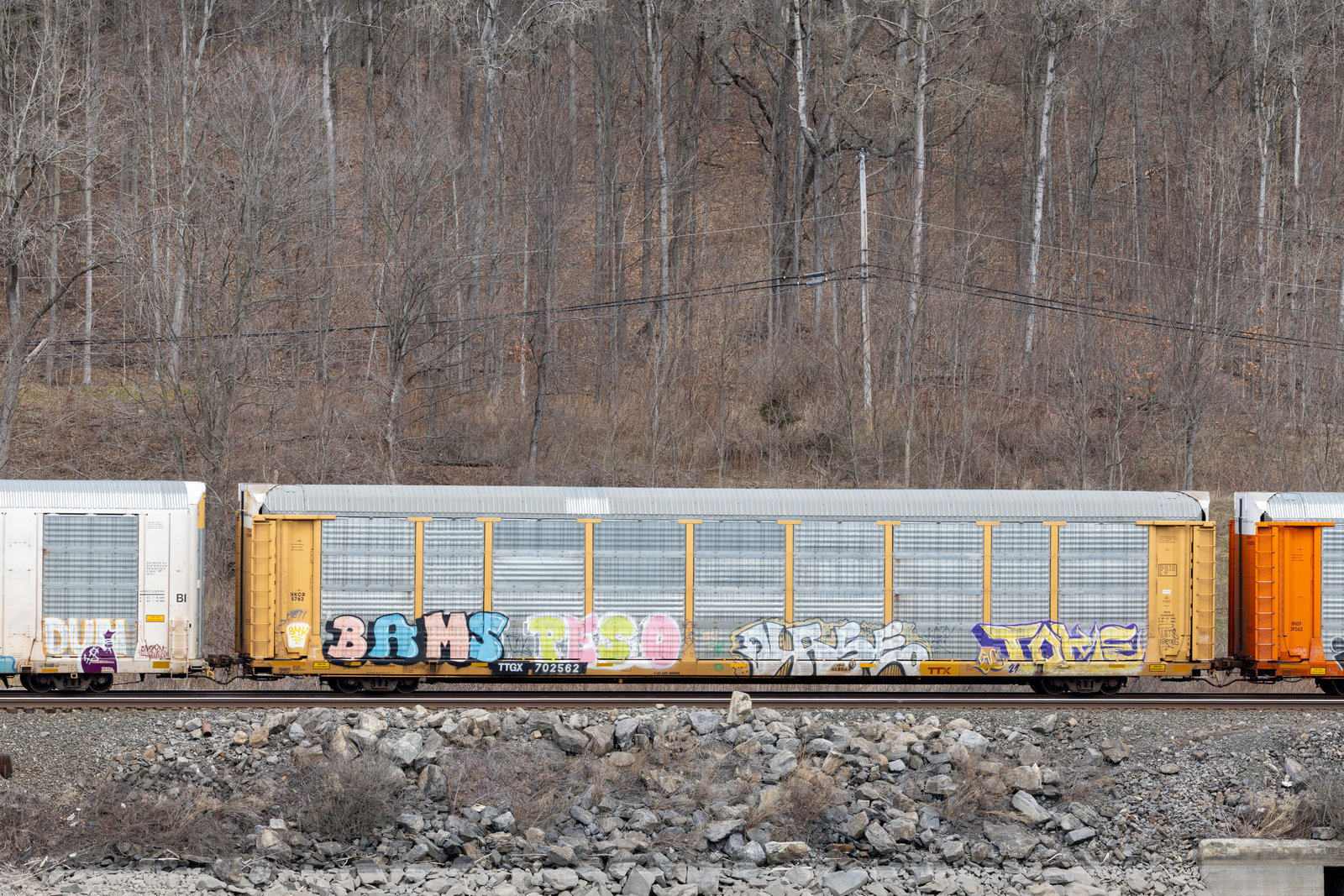 TTGX 702562