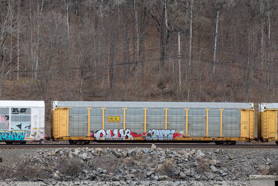TTGX 942741