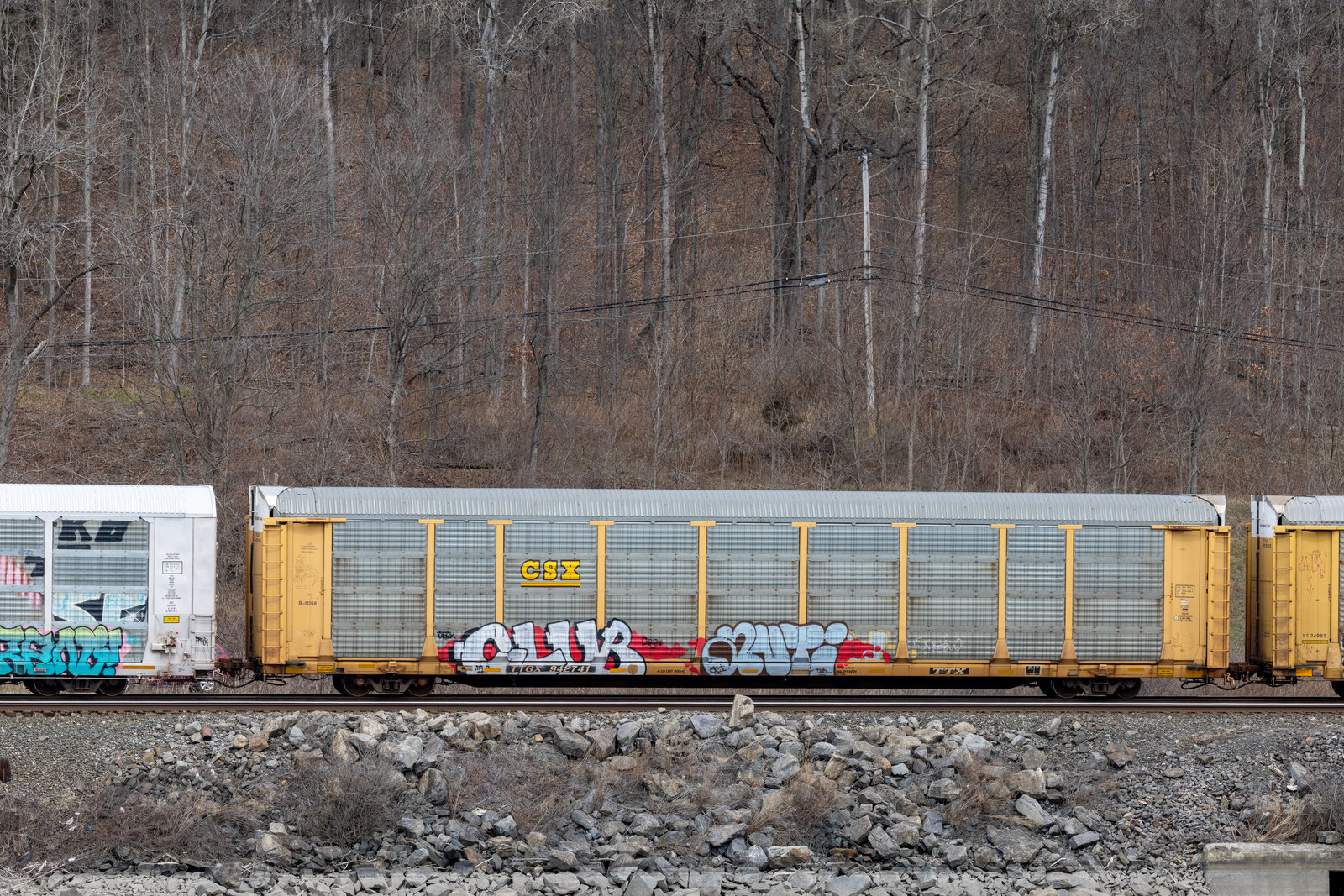 TTGX 942741