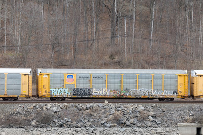 TTGX 160687