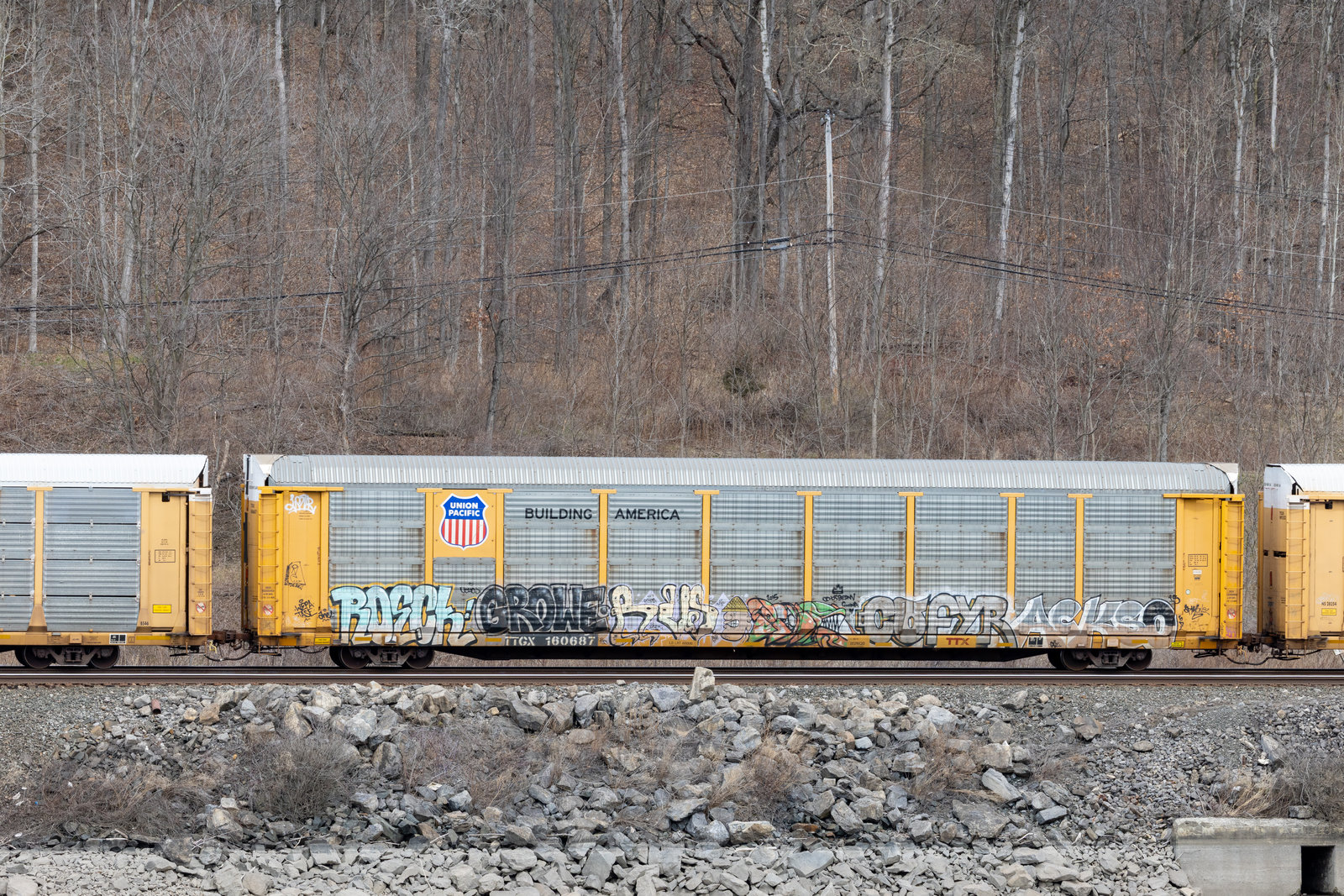 TTGX 160687