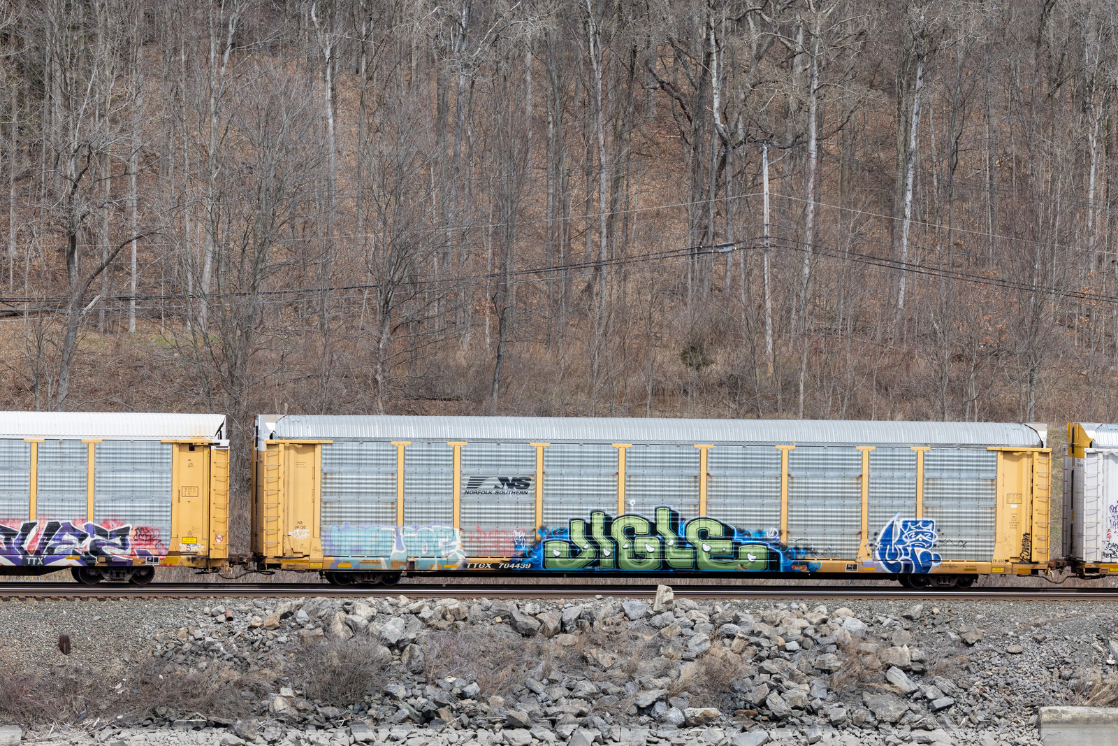TTGX 704439
