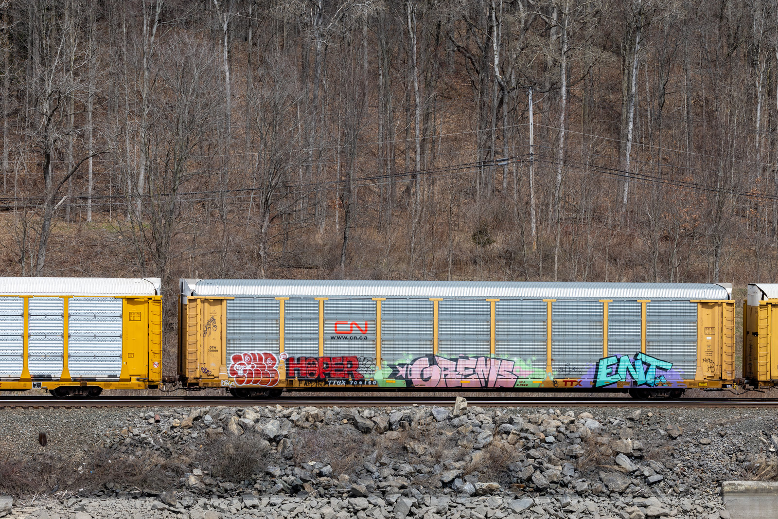 TTGX 706160