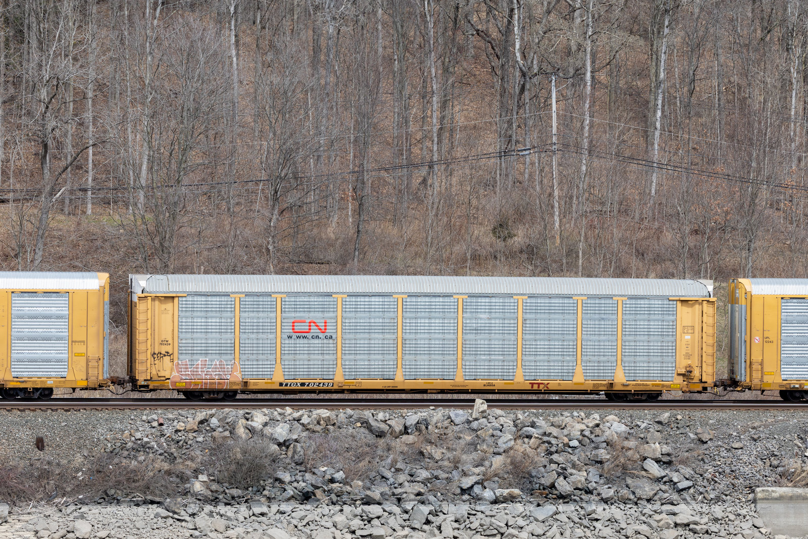 TTGX 702439
