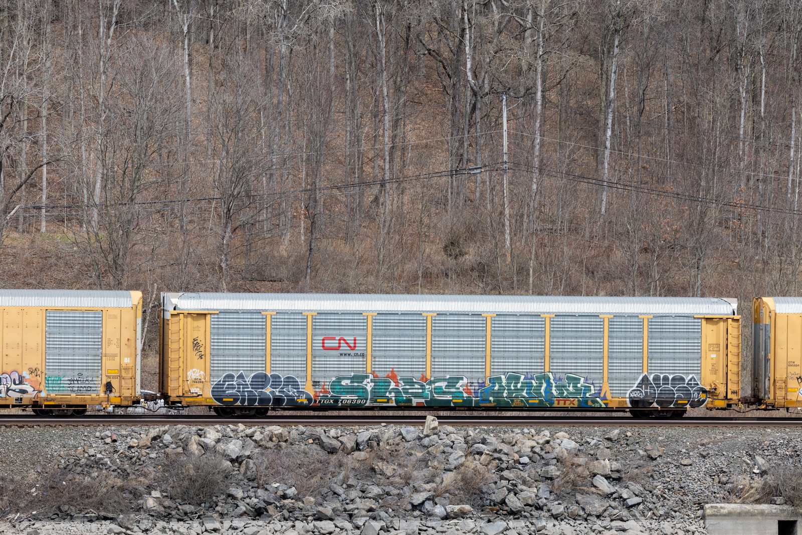 TTGX 706390