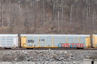 TTGX 704424