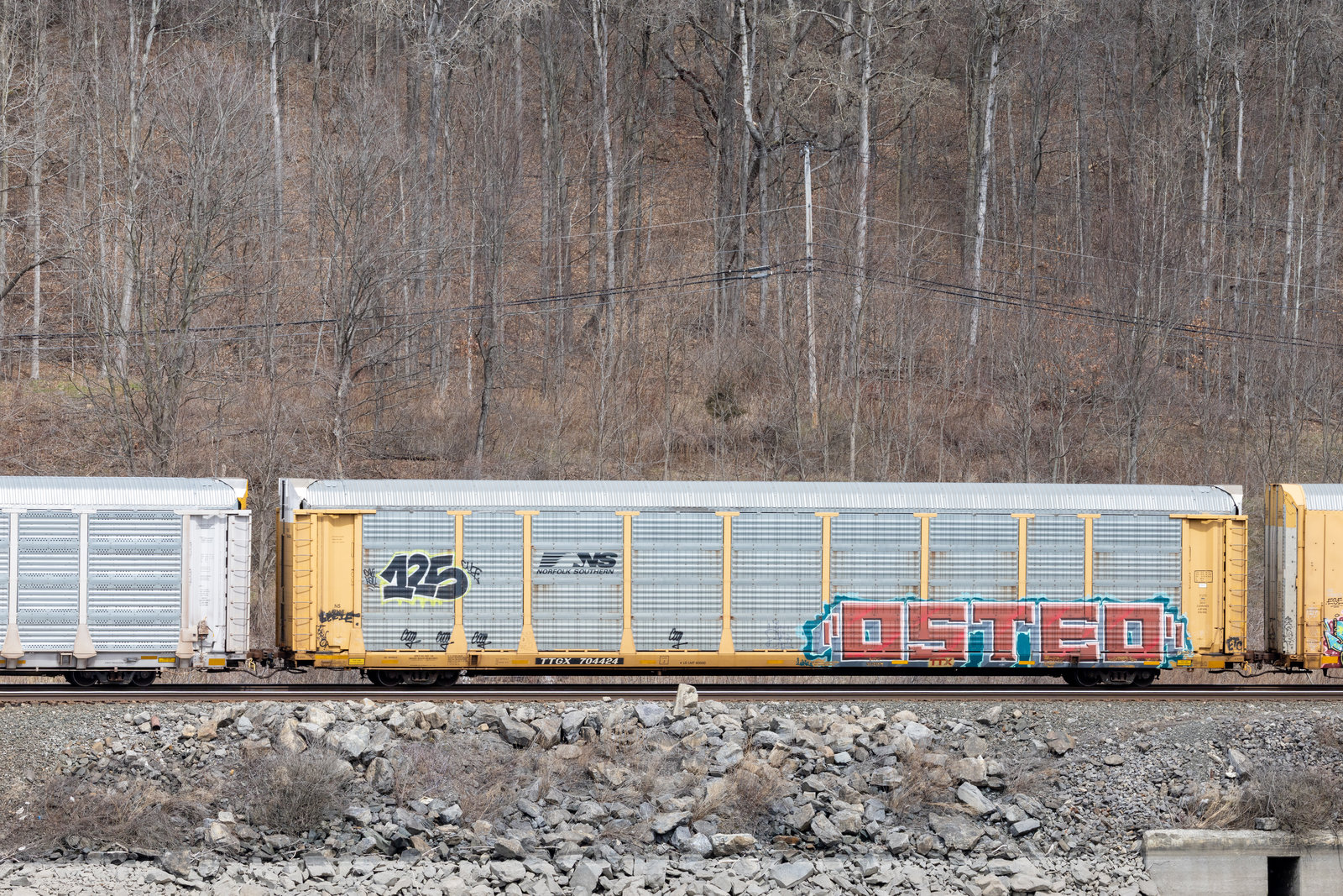 TTGX 704424
