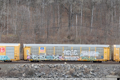 TTGX 996719