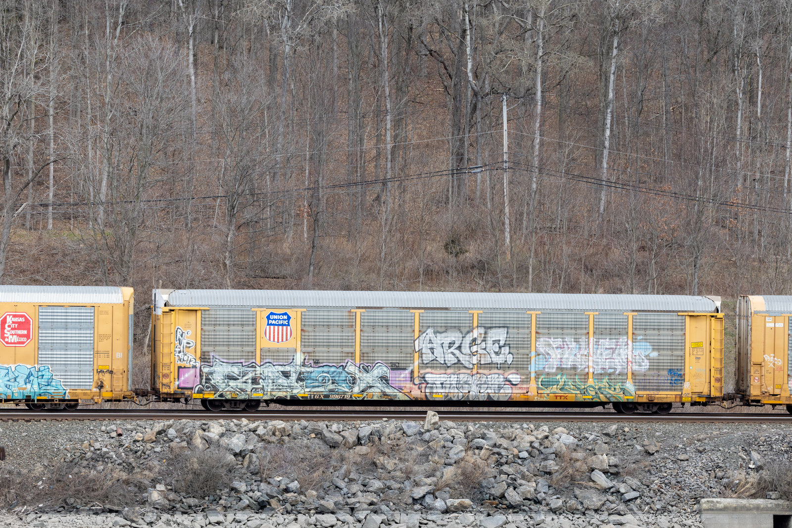 TTGX 996719