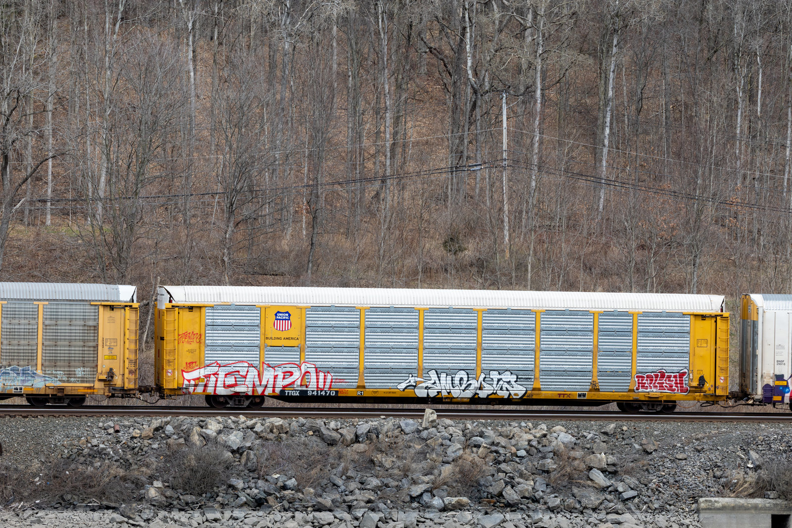 TTGX 941470