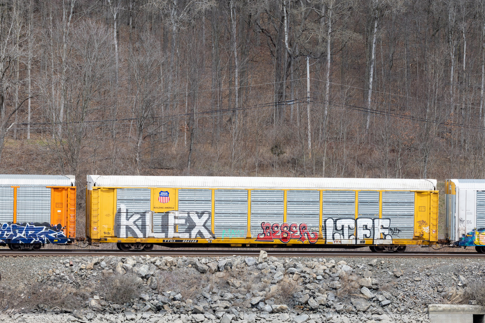 TTGX 964188
